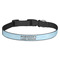 Lake House #2 Dog Collar (Personalized)