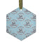 Lake House #2 Frosted Glass Ornament - Hexagon