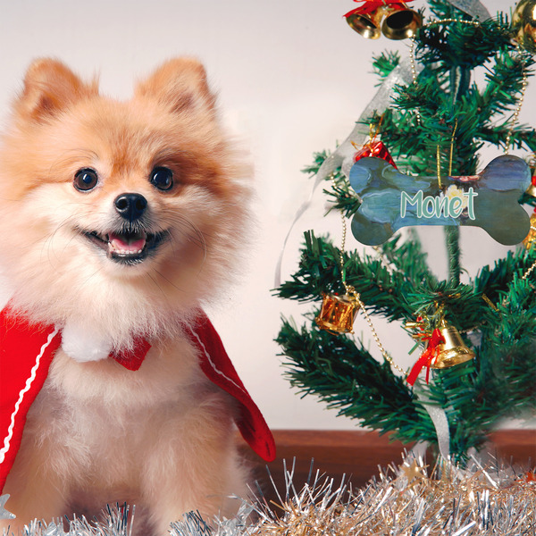 Water Lilies #2 Ceramic Flat Ornament - Bone (LIFESTYLE)