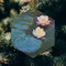 Water Lilies #2 Frosted Glass Ornament - Hexagon (Lifestyle)