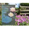 Water Lilies #2 Garden Flag - Outside In Flowers