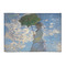 Promenade Woman by Claude Monet 2'x3' Patio Rug - Front/Main
