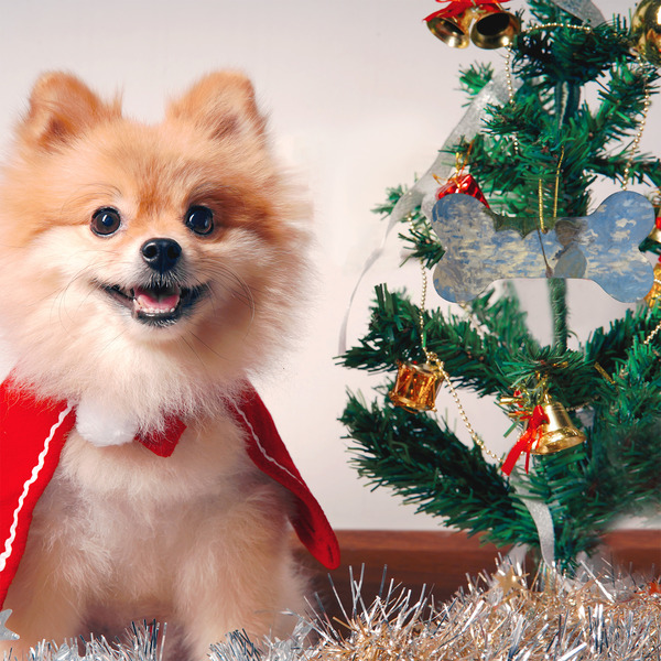 Promenade Woman by Claude Monet Ceramic Flat Ornament - Bone (LIFESTYLE)