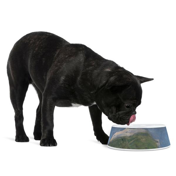 Promenade Woman by Claude Monet Plastic Pet Bowls - Medium - LIFESTYLE