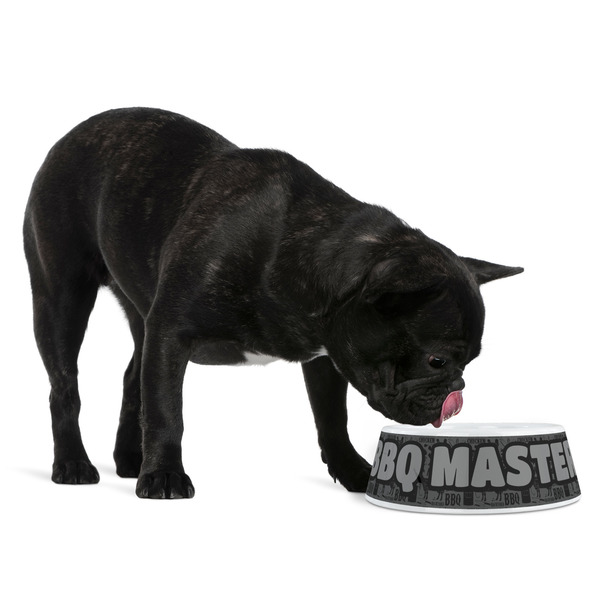 Barbeque Plastic Pet Bowls - Medium - LIFESTYLE