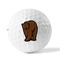 Cabin Golf Balls - Titleist - Set of 3 - FRONT