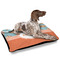 Foxy Yoga Outdoor Dog Beds - Large - IN CONTEXT