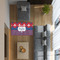 Patriotic Fleur de Lis 3'x5' Indoor Area Rugs - IN CONTEXT