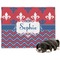 Patriotic Fleur de Lis Dog Blanket - Large (Personalized)