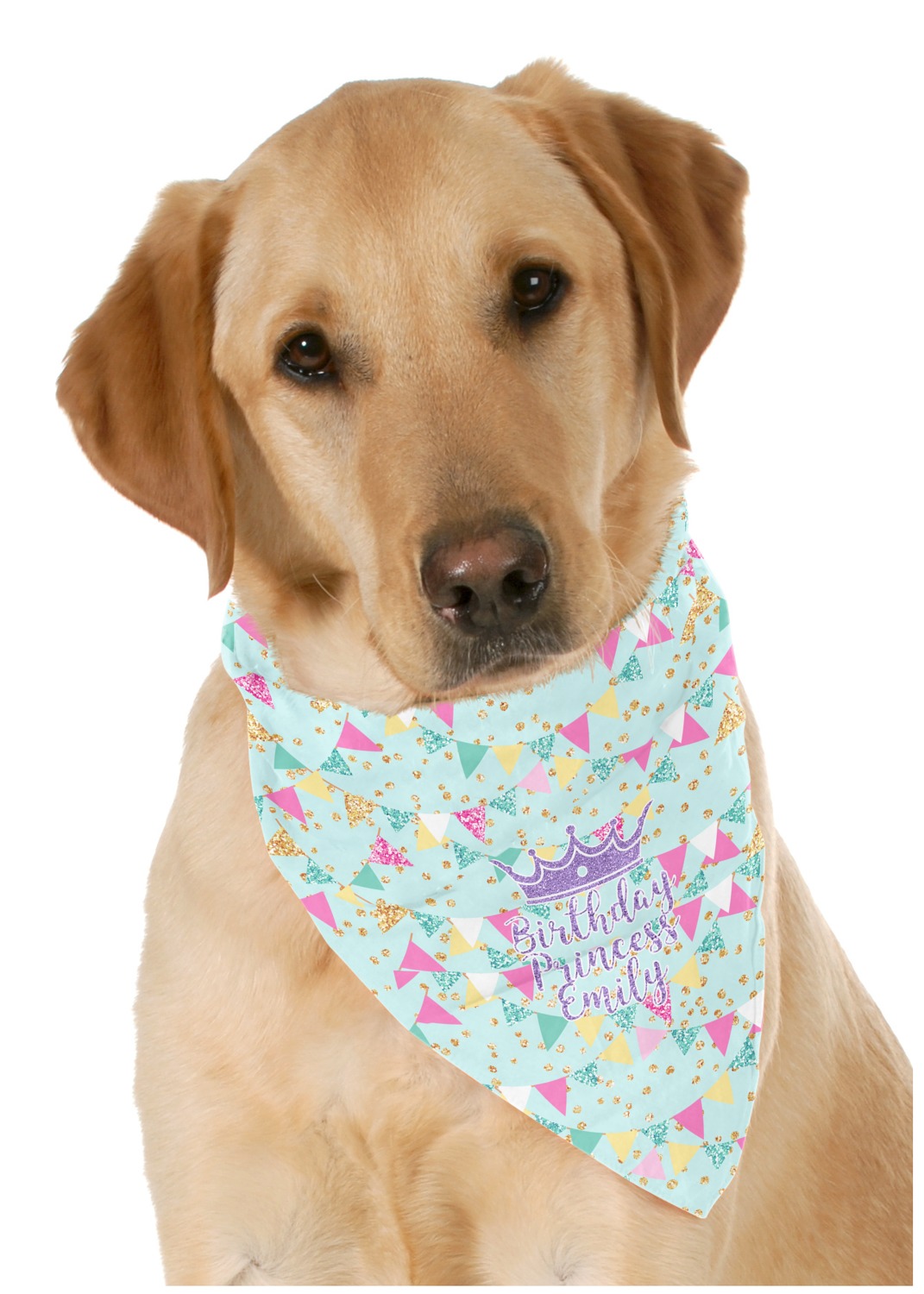 pet birthday bandana