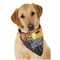 Gone Fishing Dog Bandana Scarf w/ Photo