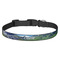 Gone Fishing Dog Collar (Personalized)