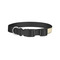 Teacher Quote Dog Collar - Small - Back
