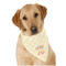 Teacher Gift Dog Bandana Scarf (Personalized)