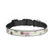 Succulents Dog Collar - Small - Front