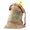 Cactus Santa Sack (Personalized)