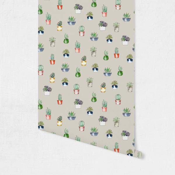 Succulents Wallpaper on Wall