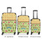 Summer Camping Suitcase Set 1 - APPROVAL