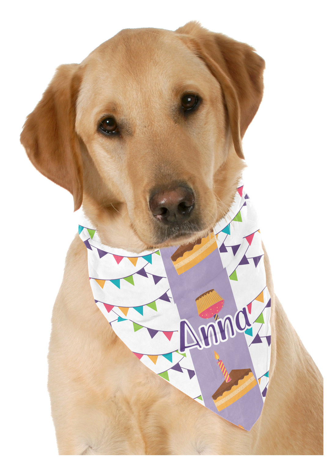 Custom Happy Birthday Dog Bandana Scarf w/ Name or Text YouCustomizeIt