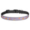 Happy Birthday Dog Collar (Personalized)