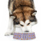 Happy Birthday Plastic Pet Bowls - Large - LIFESTYLE