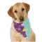 Pinata Birthday Dog Bandana Scarf w/ Name or Text