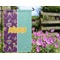 Pinata Birthday Garden Flag - Outside In Flowers