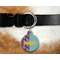 Pinata Birthday Round Pet Tag on Collar & Dog