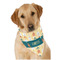 Animal Friend Birthday Dog Bandana Scarf w/ Name or Text