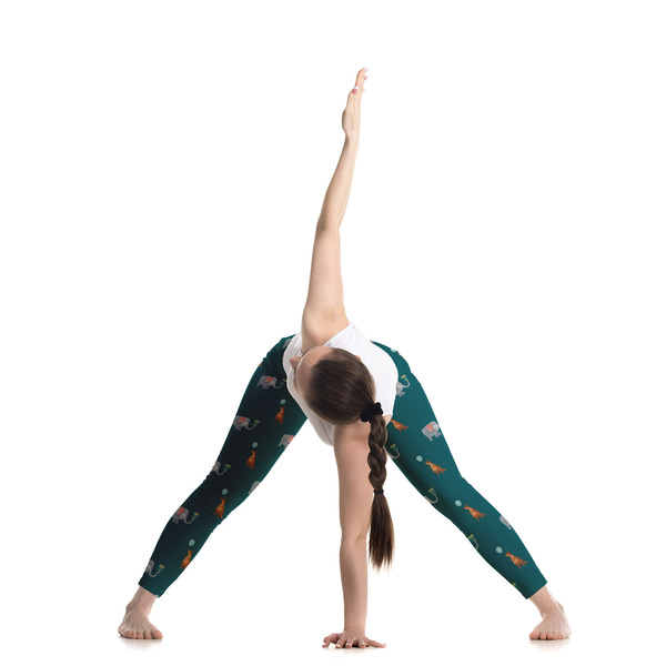 Animal Friend Birthday Ladies Leggings - LIFESTYLE