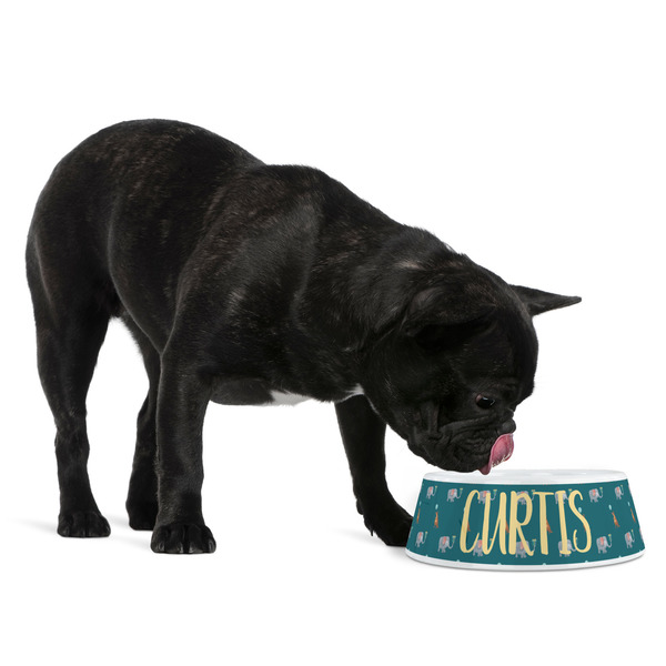 Animal Friend Birthday Plastic Pet Bowls - Medium - LIFESTYLE