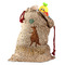 Animal Friend Birthday Santa Bag - Front (stuffed w toys) PARENT
