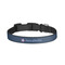 American Quotes Dog Collar - Small - Front