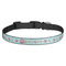 Donuts Dog Collar (Personalized)