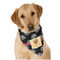 Movie Theater Dog Bandana Scarf w/ Name or Text