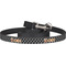 Movie Theater Dog Leash (Personalized)