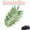Tropical Leaves Graphic Car Decal