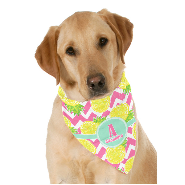 Custom Pineapples Dog Bandana Scarf w/ Name and Initial