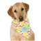 Pineapples Dog Bandana Scarf w/ Name and Initial
