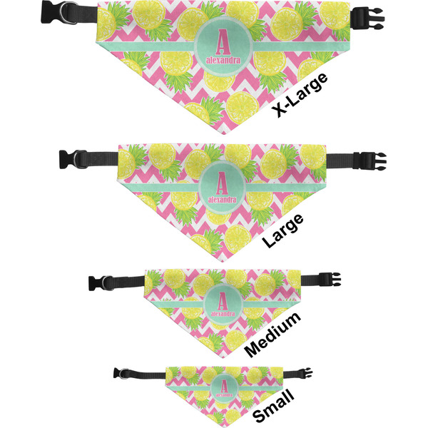 Pineapples Pet Bandana Sizes