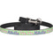 Preppy Hibiscus Dog Leash (Personalized)
