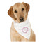 Farm House Dog Bandana Scarf w/ Name or Text