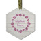 Farm House Frosted Glass Ornament - Hexagon