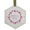 Farm House Flat Glass Ornament - Hexagon w/ Name or Text