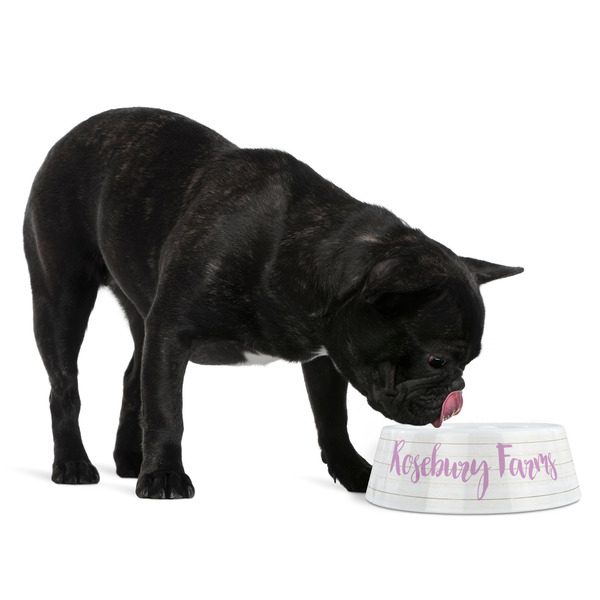 Farm House Plastic Pet Bowls - Medium - LIFESTYLE