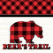 Lumberjack Plaid