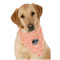 Pet Photo Dog Bandana Scarf
