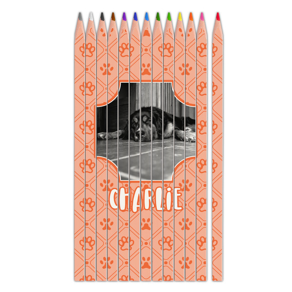 Custom Pet Photo Colored Pencils