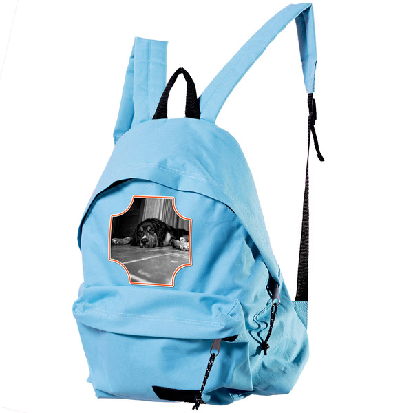 Pet Photo Custom Shape Iron On Patches - XL single APPROVAL