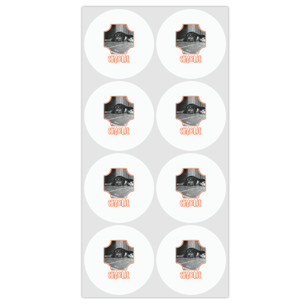 Pet Photo Drink Topper - Medium - Set of 12